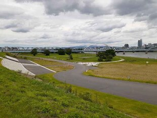 天神橋筋六丁目駅 徒歩14分 5階の物件内観写真